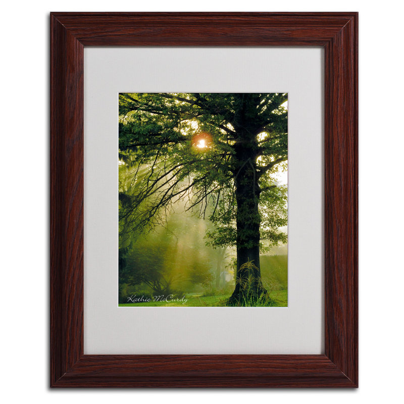 « magique tree » par kathie mccurdy,, reproduction de photo encadrée, H 20 po x l 16 po x P 0,5 po, Brun - Biseautée
