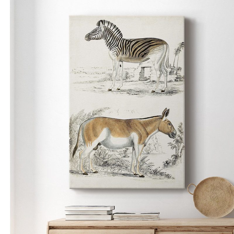 Journal Of Natural History IV " Journal Of Natural History IV " Painting Print, 27" H x 16" W x 1" D