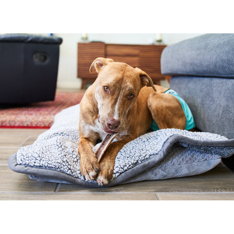 Pet Parents® Pawtect® Blanket, Premium Waterproof Dog & Cat Blanket, Slate, 60" W x 50" L