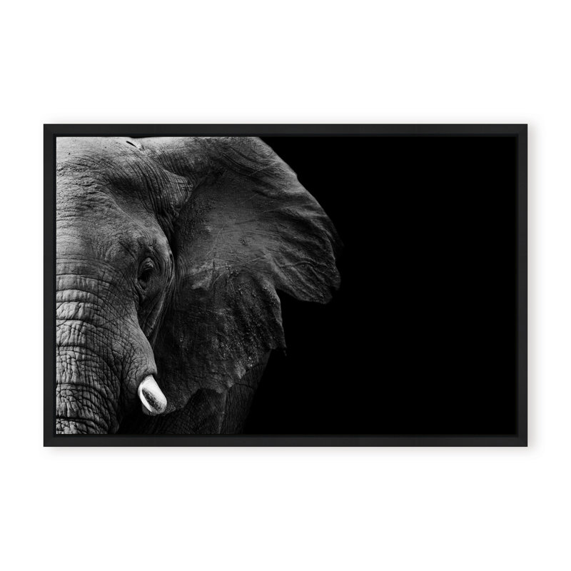 Nature Inspired Elephant by  - Picture Frame Photograph on Paper, 16" H x 24" W x 1.125" D, Beige, Framed Print