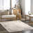 Ellamae SpinClean Faded Medallion Machine Washable Area Rug-781152543