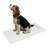 Digital Pet Scale-113607616