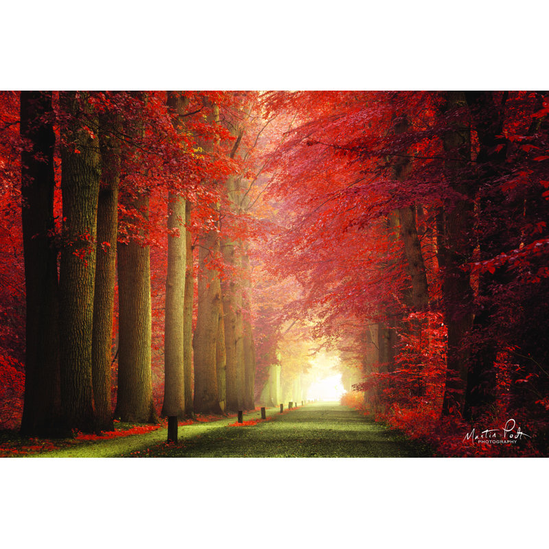 «Way to Red» par Martin Podt - reproduction imprimée, H 32 po x l 48 po, Toile tendue