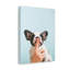 French Bulldog Says Quiet Canvas Wall Art-1991102777