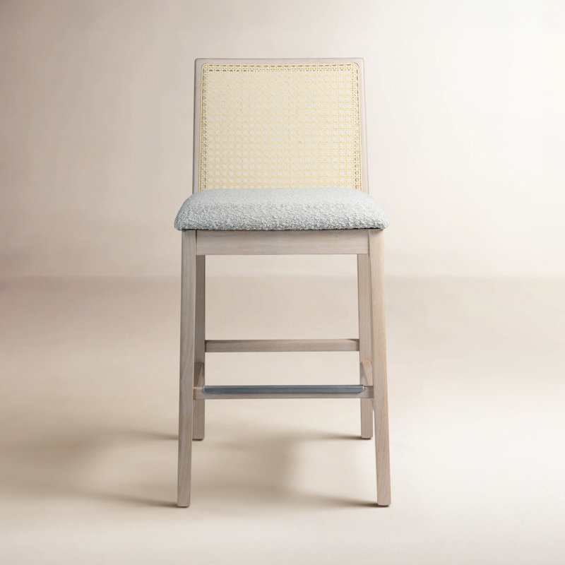 Modern Brazilian Nardia Cane Bar Stool, Counter Stool (25.5" Seat Height), Medley Ivory/Ebano/Natural