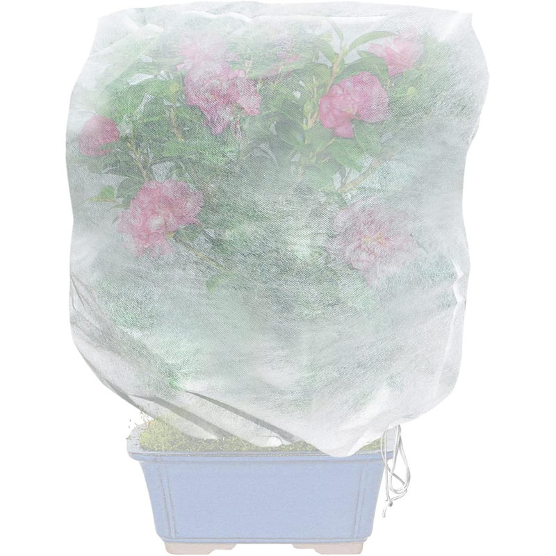 Housse pour plantes à valeur chaude Quarles, H 32 po x l 32 po x P 2 po