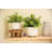 Handmade Ceramic Pot Planter