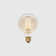 Elva E26 Tinted LED Bulb