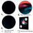 " Red Shark Photo Haven "-1450466486-1450466487
