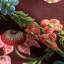 Le Brun 100% Linen Fabric-901915125