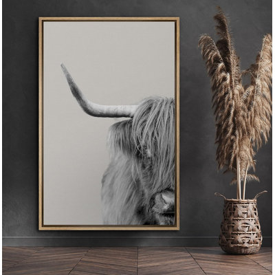 Moitié de vache Shetland, œuvre d'art, photographie, campagne, portrait, détente, calme