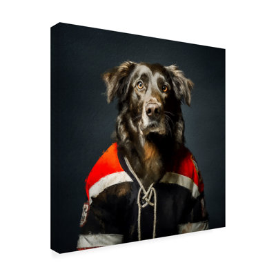 Art sur toile Sean Parnell Hockey 5