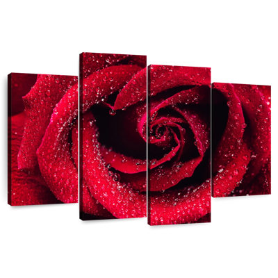 Gouttelettes Harnek sur rose rouge