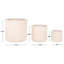 Ensemble de 3 pots à fleurs Carolina-963117402