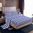 Luxury Plush Wave Bedding Set - Ultra Soft Micro Sheet & Blanket with Pillowcases - 4 Piece Microplush Gift Set-115841365-115841381