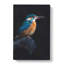 Kingfisher Bird - Wrapped Canvas Painting-56644379