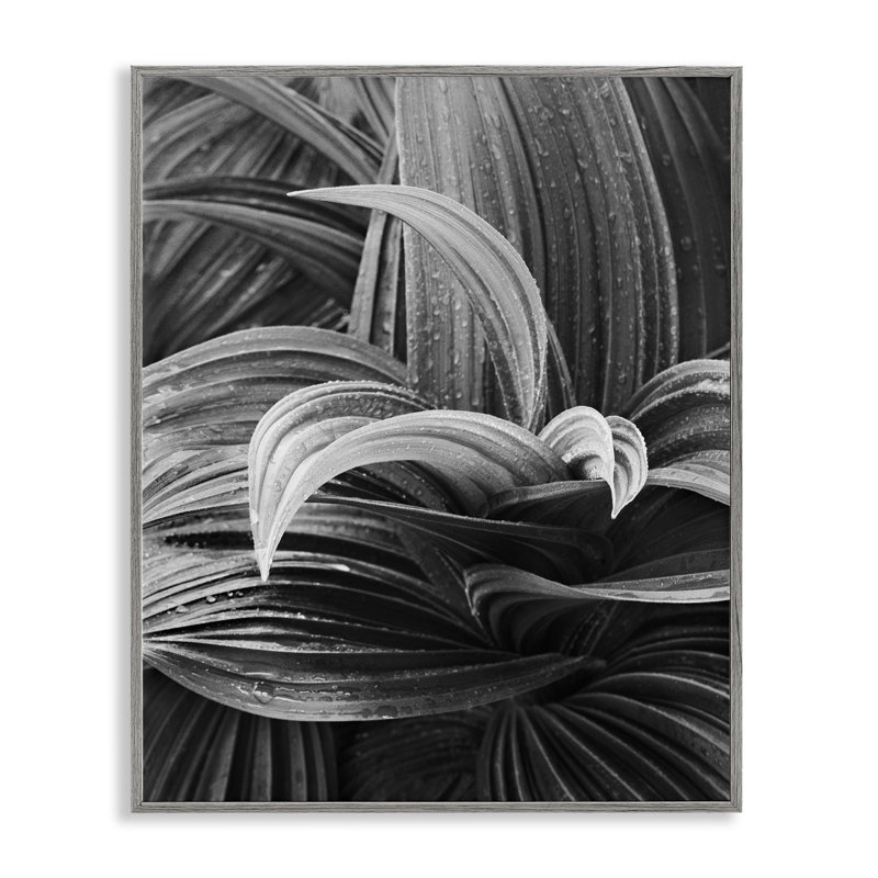 «Wet Leaves» par Chip Forelli bg-128, Estampe numérique Farmhouse, H 20 po x l 16 po