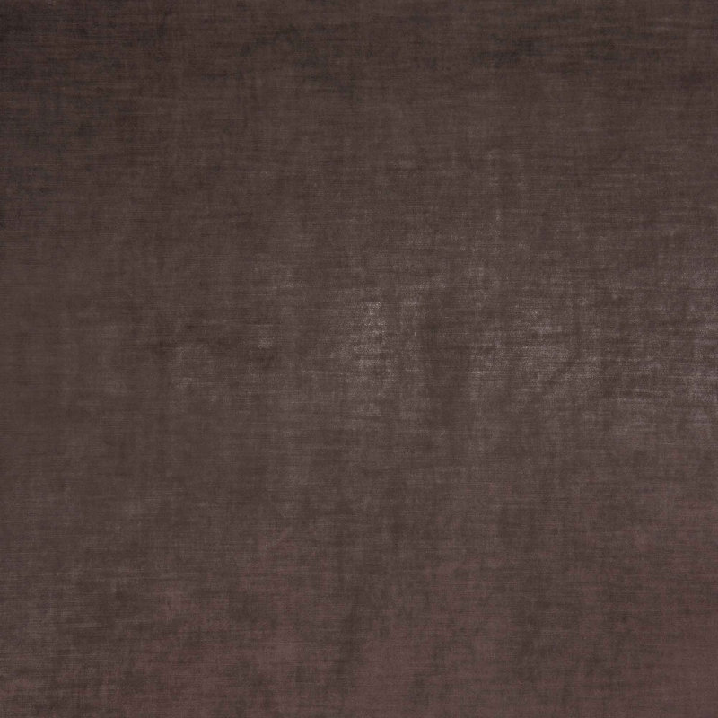 Tissu Winchester, Châtaignier