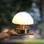 5.75" Desk Lamp-1240358647