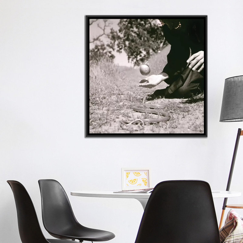 « original sin », reproduction de photo sur toile, H 18 po x l 18 po x P 1,5 po, Toile avec cadre noir, Non mat