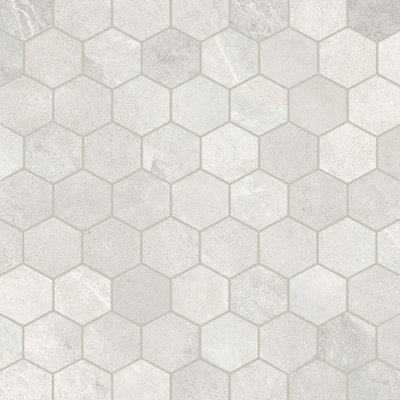 Burlington 2" Hexagon Porcelain Mosaic