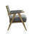 Upholstered Accent Armchair Set Of 2-1704304230