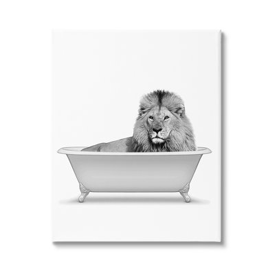 " Lion In Bathroom Tub Wildlife "