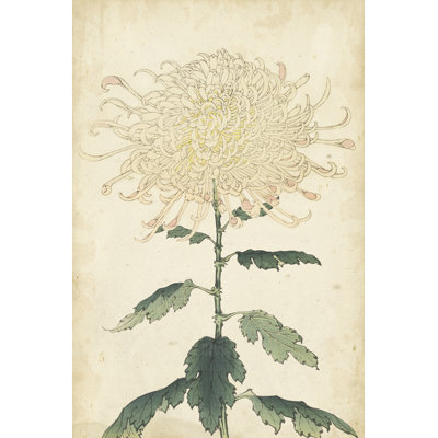 Elegant Chrysanthemums III - Wrapped Canvas Print