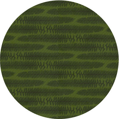 Indoor Rug