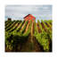 'Dry Creek Barn' Photographic Print on Wrapped Canvas-27489477
