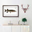 Pike Fish by M.E. Bloch - Picture Frame Painting Print on MDF-55583626-55583629