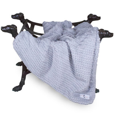 Paris Pet Blanket