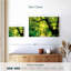 Kerrick Forest Sunburst-108967691