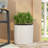 PLANTER