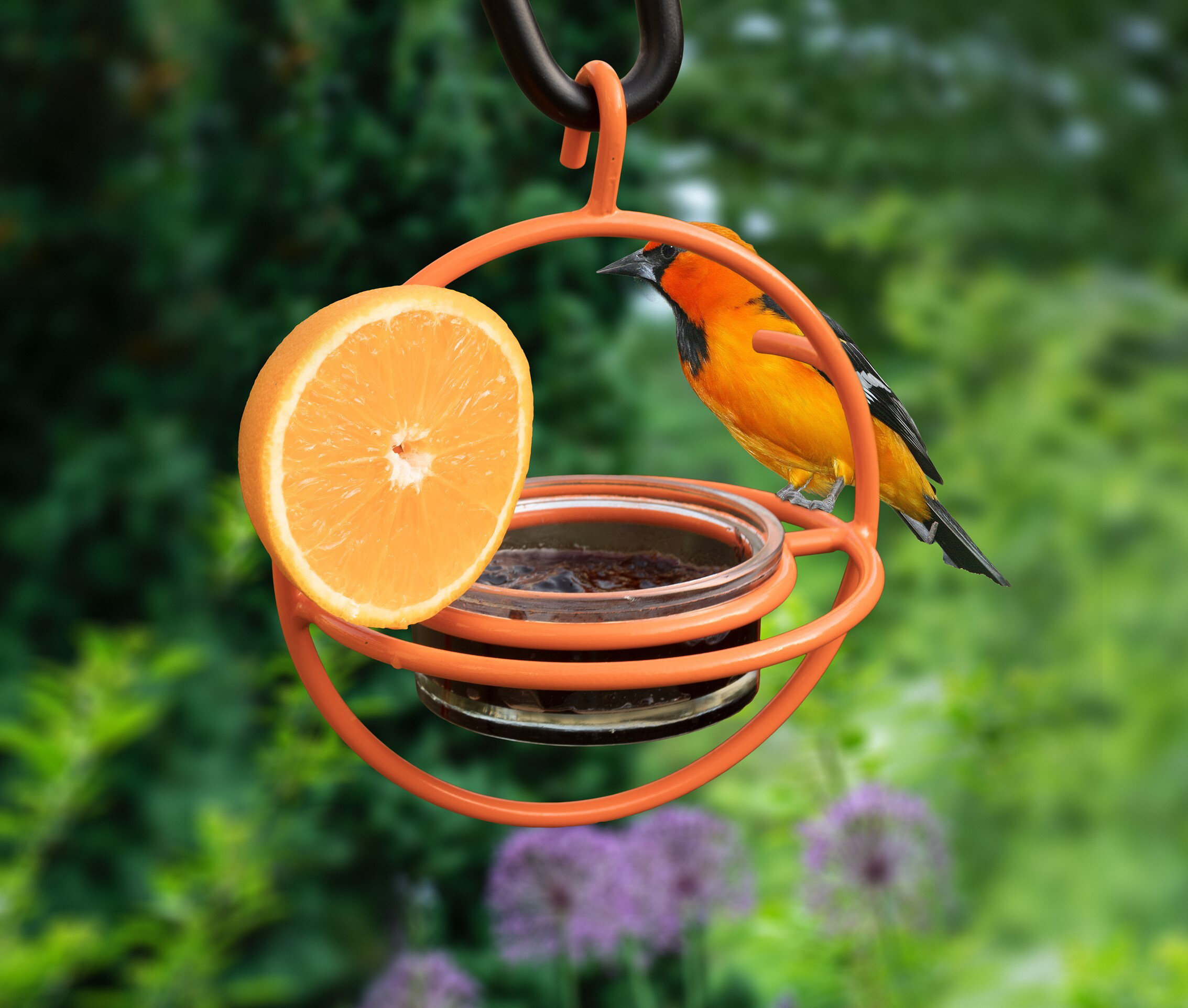 Orioles debut Bird Bath section 