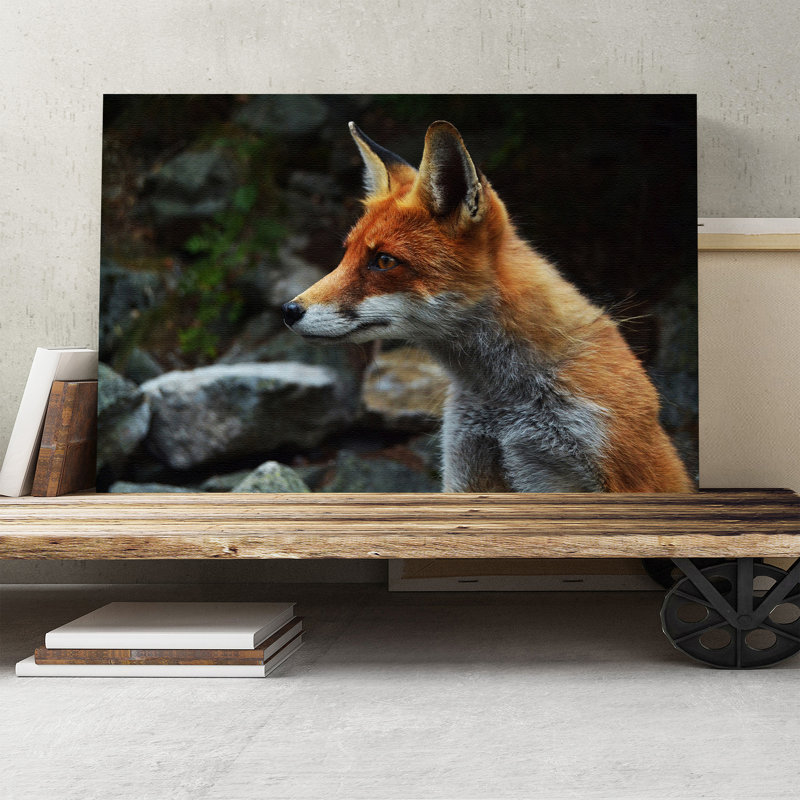 Red Fox Photographic - Wrapped Canvas, 40cm H x 60cm W