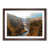 Walnut Framed selected