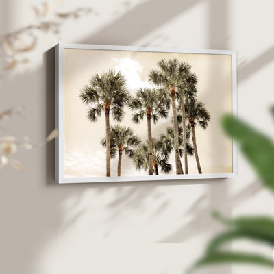 Blush Palms - reproduction encadrée - réarmable