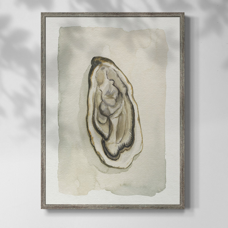 Soft Half Shell II Framed Print - Solid Wood, 30" H x 24" W