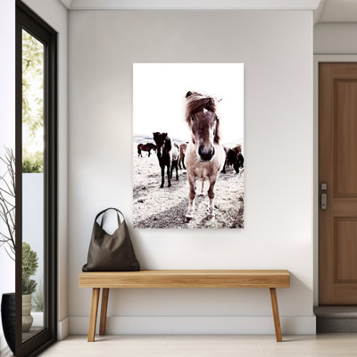 Islande, cheval, Rikka, art contemporain cheval