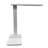 Adjustable USB Desk Lamp
