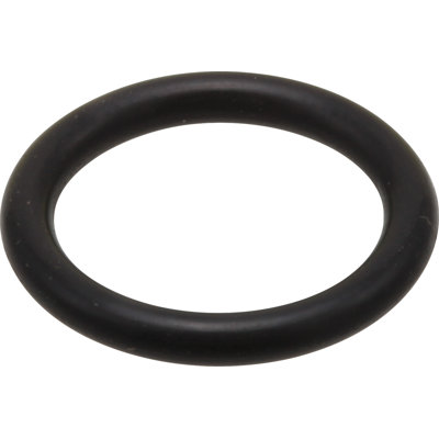 O-Ring for Shower Arm