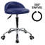 Backed Adjustable Height Ergonomic Lab Stool Wheels-1535761495