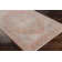 Jazive Oriental Indoor Rug