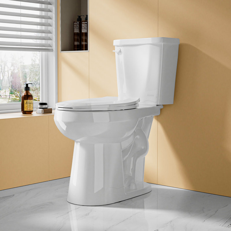 Compact Tall Toilet 19" ADA Comfort Height for Seniors, 1.28 GPF Single Flush Two Piece Toilet White, MAP 1000g, Glossy White