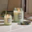 French Cade Lavender Large Jar Candle