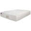 Whole Sleep 15'' Plush Innerspring Mattress-141823115