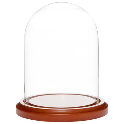 Jinny 4" x 5.25" Glass Display Dome Cloche