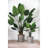 Papineau Pot Planter