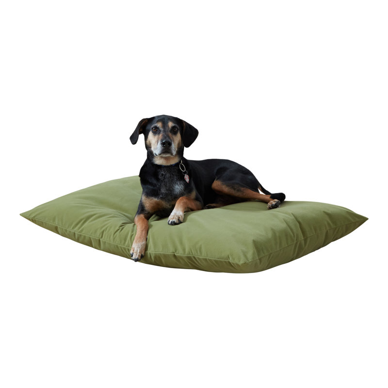 Lit pour chien en velours côtelé Gladmir, H 4 po x l 42 po x P 30 po, Olive